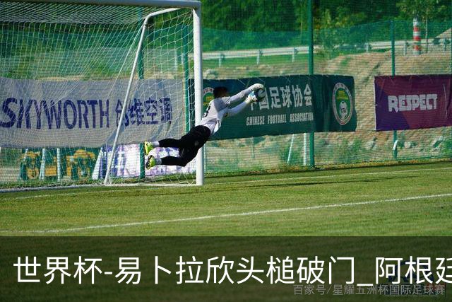 世界杯-易卜拉欣头槌破门 阿根廷失点半场0-1落后埃及