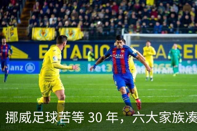挪威足球苦等 30 年，六大家族凑世界杯主力，老国脚有啥绝招？